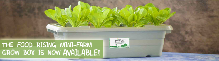 Mini-Farm Grow Box