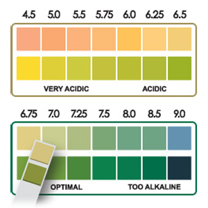 SnyderHealth.com - pHion Diagnostic pH Test Strips