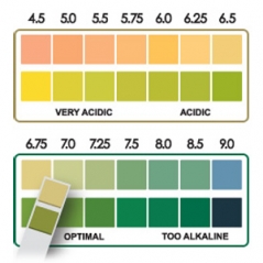 pHion Diagnostic pH Test Strips