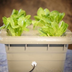 Food Rising Mini-Farm Grow Box Starter Kit