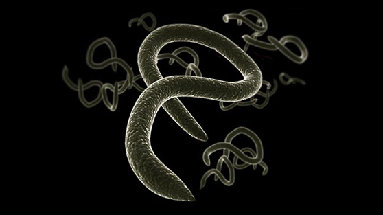 BioDefense - Episode 1